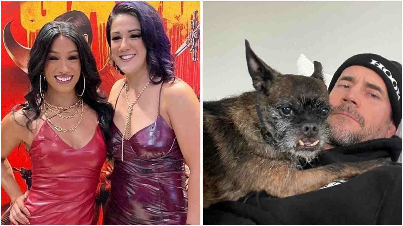 35-year-old female WWE star teases collaboration with CM Punk’s dog Larry following reports of strong merch sales