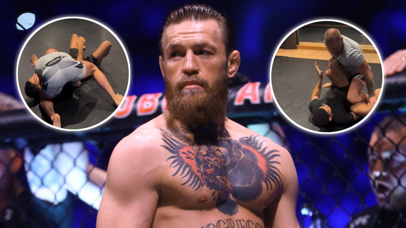 (Video) Conor McGregor submits training partner with rare chokehold ahead of 2025 combat sports return