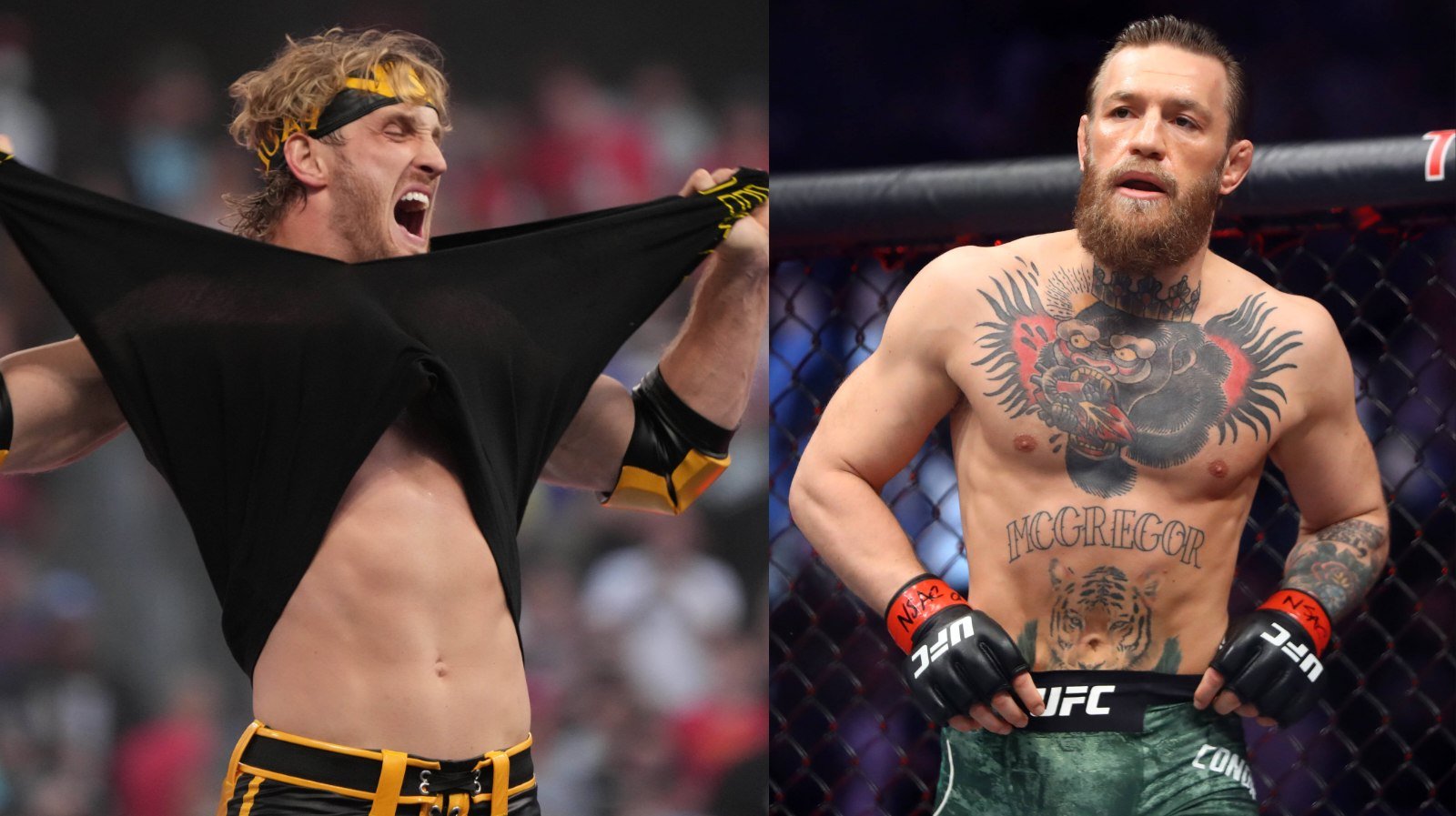 Conor McGregor has more to gain fighting Logan Paul for Ambani family reveals UFC veteran